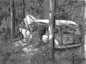 Car in Woods